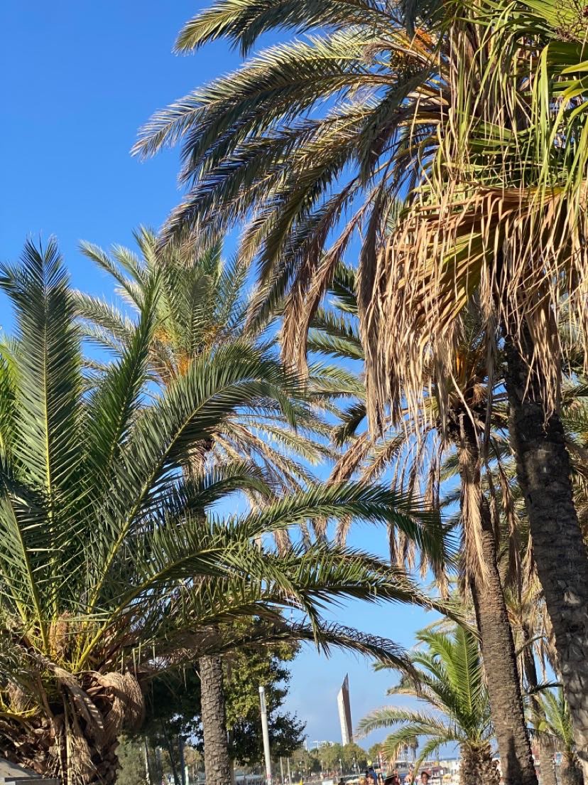 _ramsko's tweet image. Ça me manque 💔