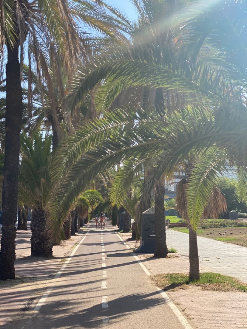 _ramsko's tweet image. Ça me manque 💔