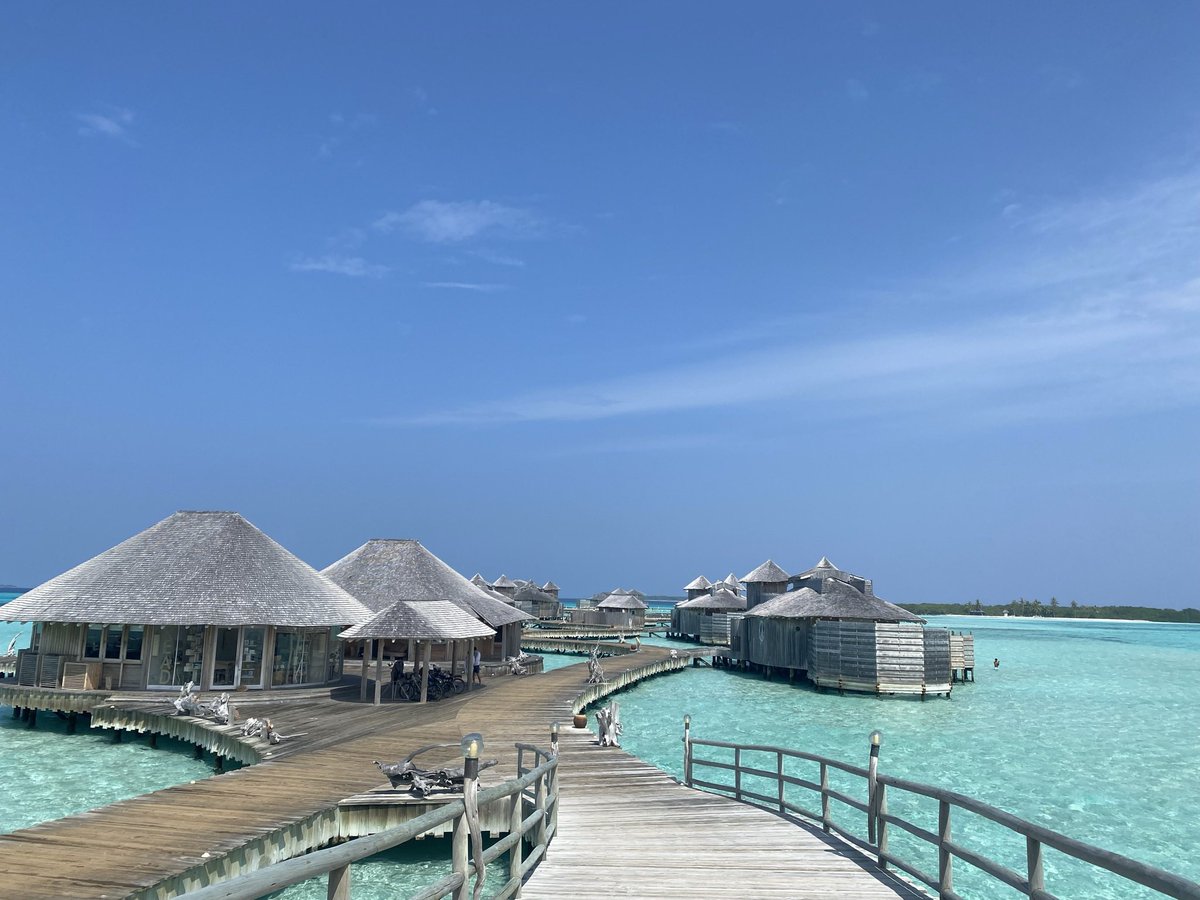 Day 12 still not had to wear shoes #noshoesnews here on location #sonevajani #Maldives