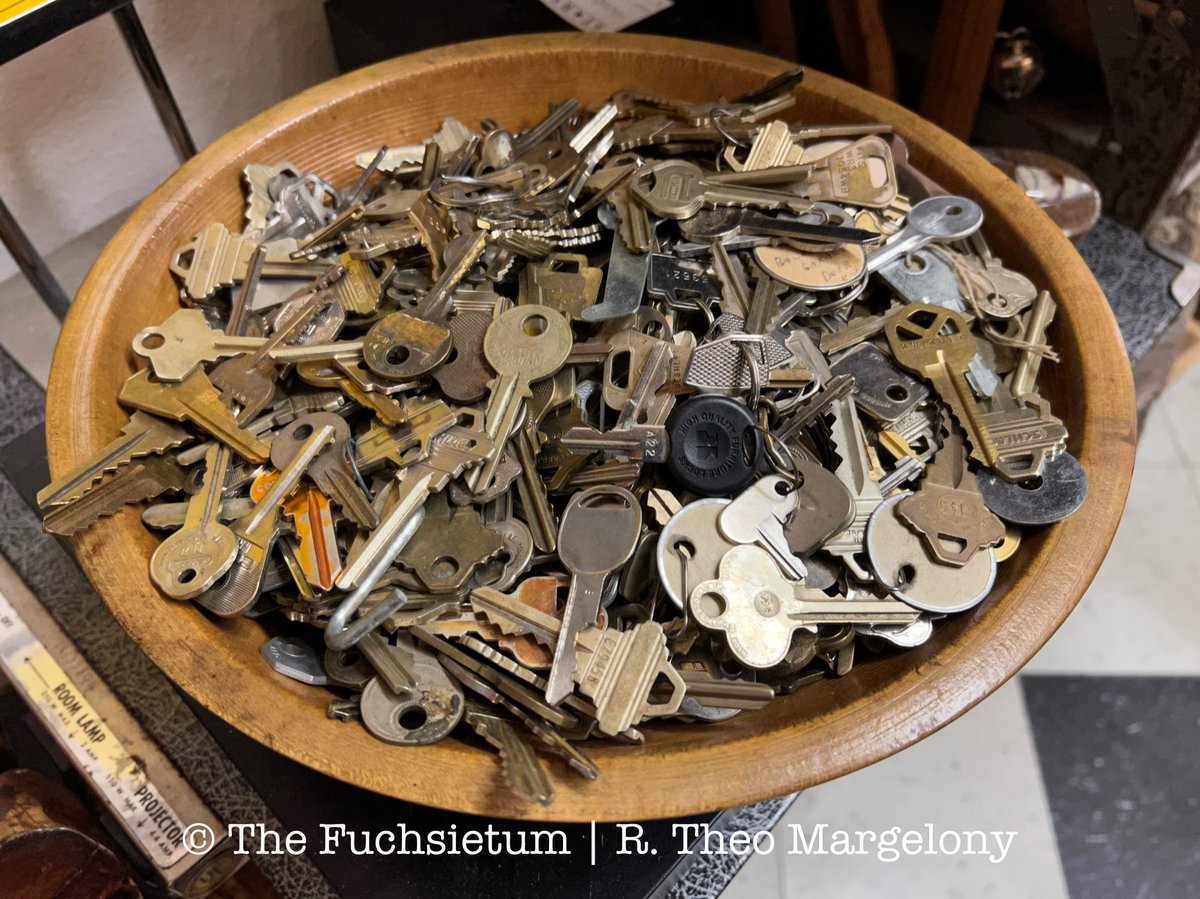 FuchsiariusToo's tweet photo. I think I’ve found the key to a lot of things. #SceneinPortland https://t.co/ZhzvHwS6x7