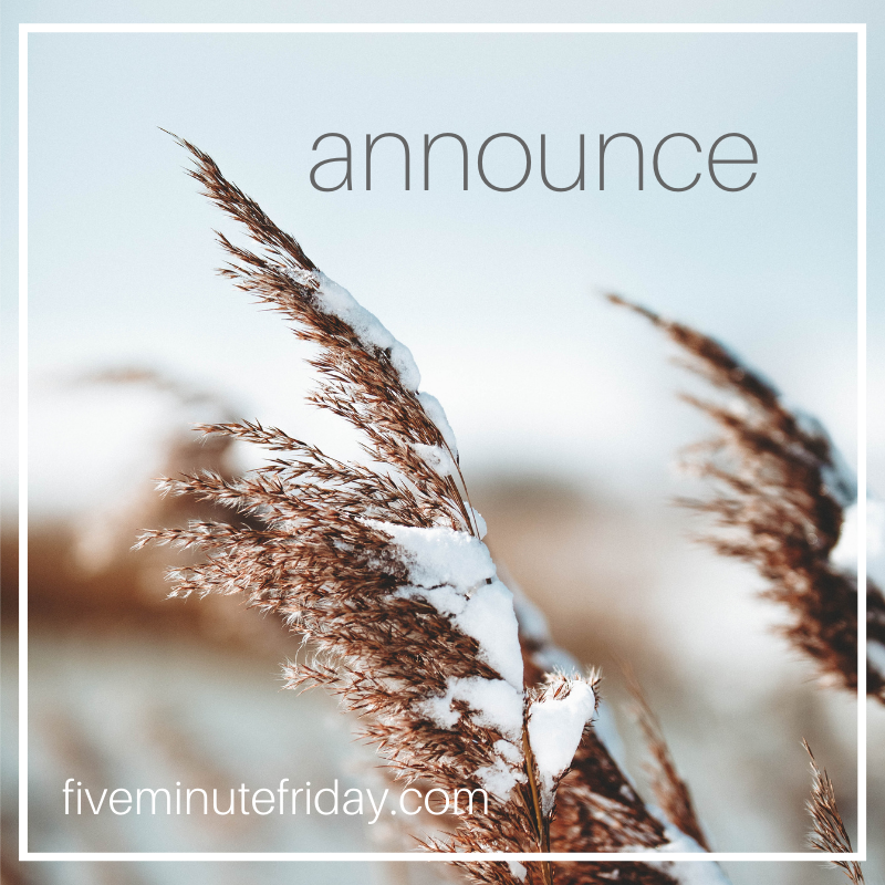 Our final Five Minute Friday writing prompt for 2021 is: ANNOUNCE . . . Come join us for a fun, five-minute freewriting exercise! Link-up goes live at 10pm EST at fiveminutefriday.com and stays open all week! No excuses. ;-) #fmfparty #writingprompt #announce