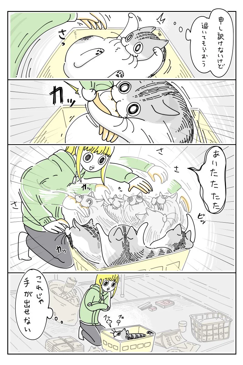 読んでいて癒される！箱を巡る、猫との攻防を描いた漫画が話題に！