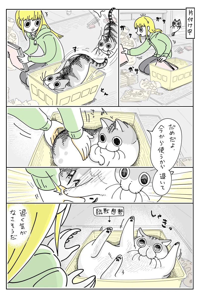 読んでいて癒される！箱を巡る、猫との攻防を描いた漫画が話題に！