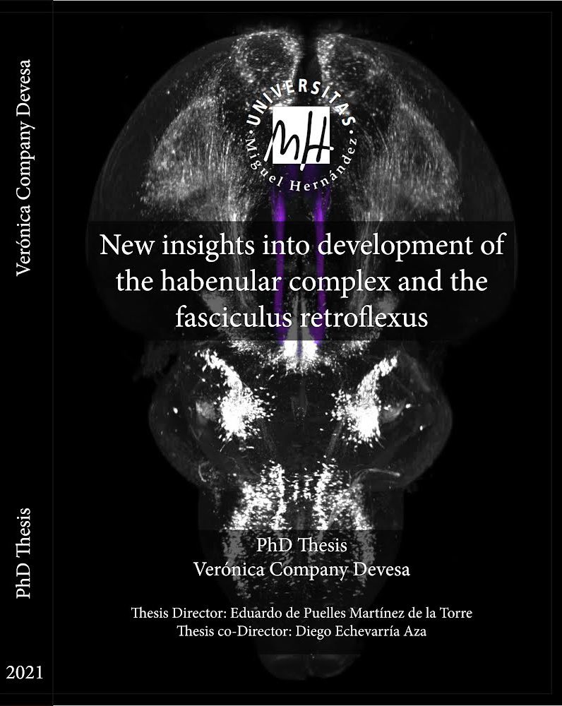 Llego el gran dia!! <a href="/Verito0o0/">Verónica Company</a> <a href="/DEchevarria_Aza/">Diego Echevarria</a>