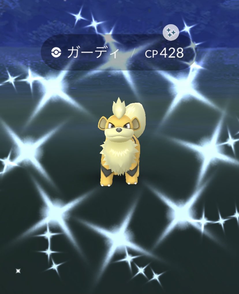 富笑 ポケモン色違い ガーディ色違い 今日我が家にいらしたガーディ色違い って 旬でない よね キュレムどころか旬のポケモン色違いは出ません T Co Supekvfydl Twitter