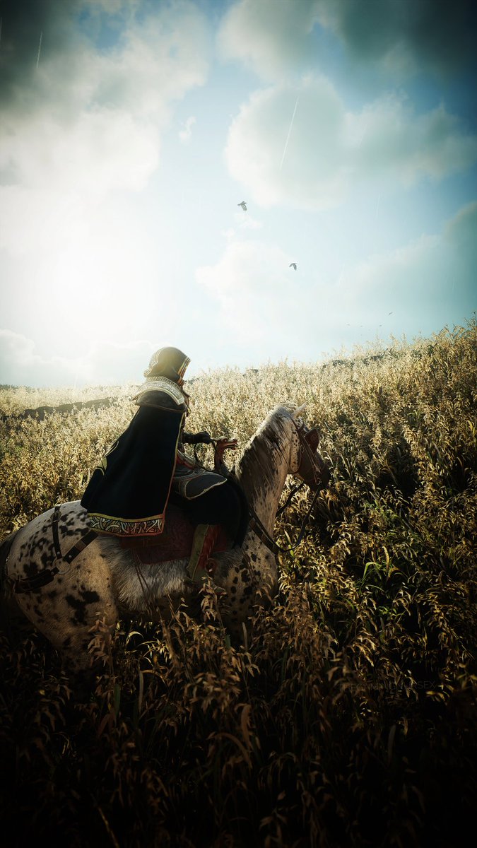 TheGamingNurseX's tweet photo. Golden fields on the Isle of Skye 🌾💜
#AssassinsCreed #AssassinsCreedValhalla #VirtualPhotography #VGPUnite #WorldofVP #XboxSeriesX https://t.co/kH6Qk3AhyK