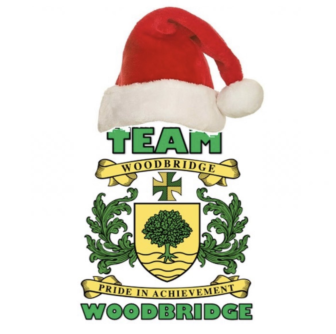 Crest Open On Christmas 2022 Steven Hogan 💚 🏳️‍🌈 On Twitter: "We Did It! A Tough Term In So Many  Ways, But With Kindness And Love We Got To The End. Huge Thanks To All Of  #Teamwoodbridge -