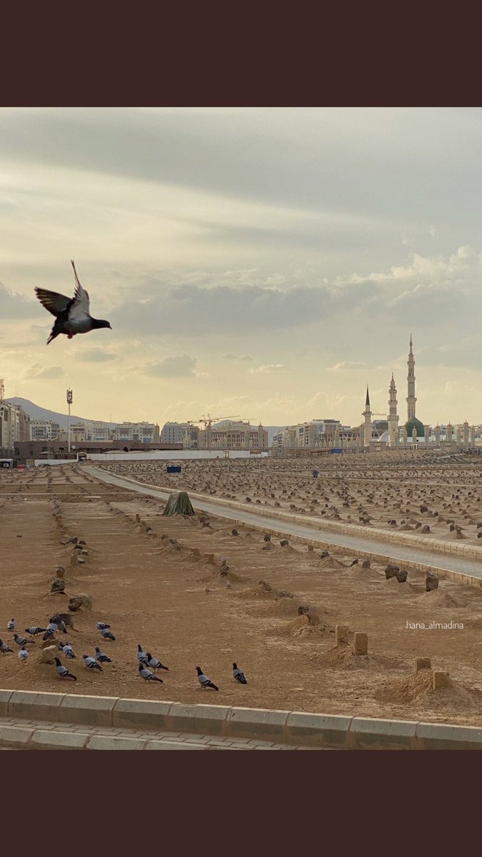 Mo40__'s tweet photo. #يوم_الجمعه اللهم اجعل أمواتنا من الضاحكين المستبشرين ، الغارسين من ثمار جنتك ، الشاربين من حوض نبيك ، والمحظوظين بشفاعتك https://t.co/CqSeN7ez23