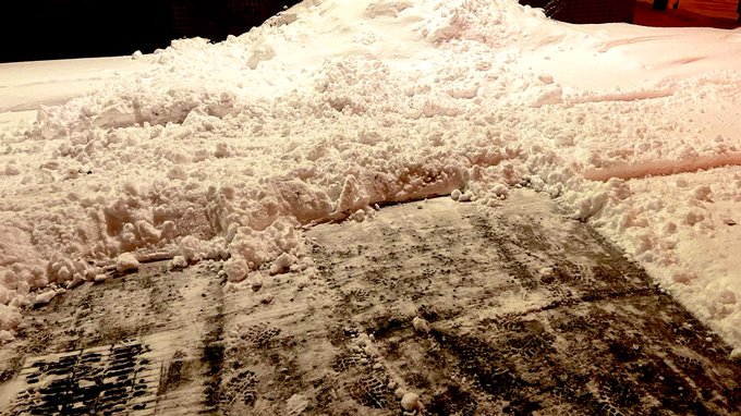 今年初の雪かき

いい運動になった(⌒-⌒; ) 