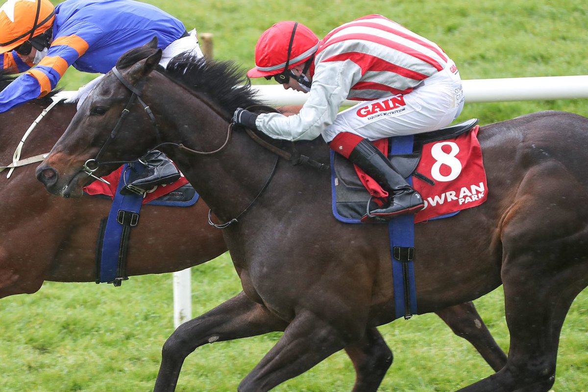 HRIRacing's tweet photo. #TodaysTips - https://t.co/rn3bVyV30G

🏇@DundalkStadium 
 
⏰First Race 4pm

Back to #Dundalk this evening for the first action of the weekend.

Our preview is here ↙️

https://t.co/rn3bVyV30G #Sunwalk https://t.co/wdXooJ7m5Y