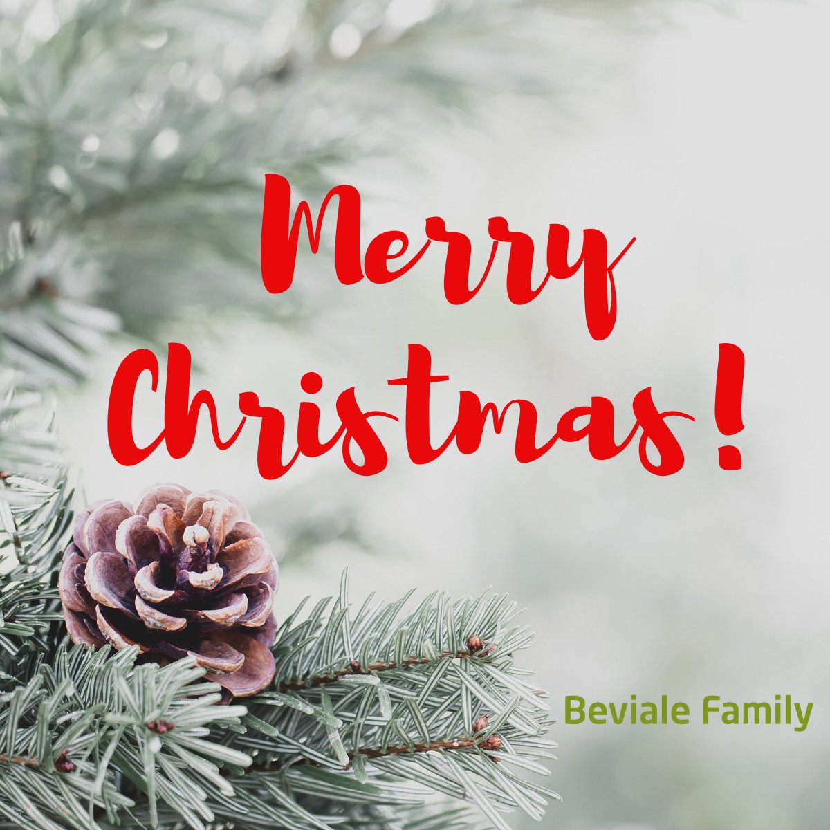 The Beviale Family Team wishes you all a Merry Christmas and a Happy New Year! 🎄🎉

#BevialeFamily #Beviale #MerryChristmas #HappyNewYear