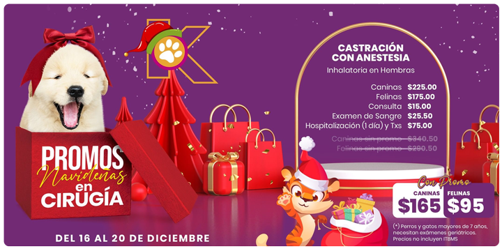 kninoVets's tweet photo. Llegó la navidad con la Promo en cirugías, llama y reserva ya!. Promoción disponible en todas nuestras sucursales de #VeterinariaKnino. Promo válida del 16 al 20 de diciembre. #VeterinariaKnino #perros #gatos #mascotas #panama #pty #promonavideña🎄https://t.co/MyTvvEjJF5 https://t.co/6vdbjhrl9J