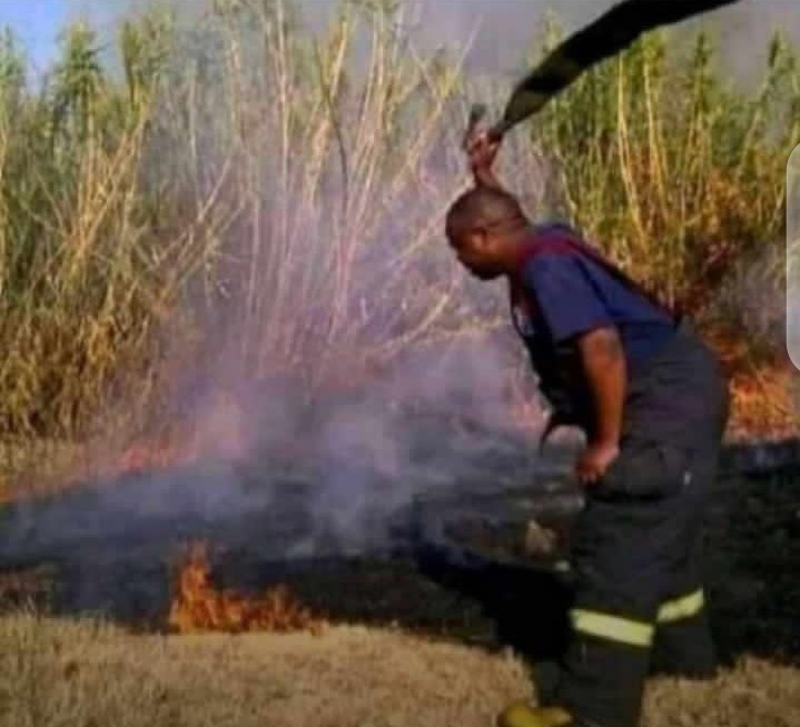 Winky D to Nutty O's album: