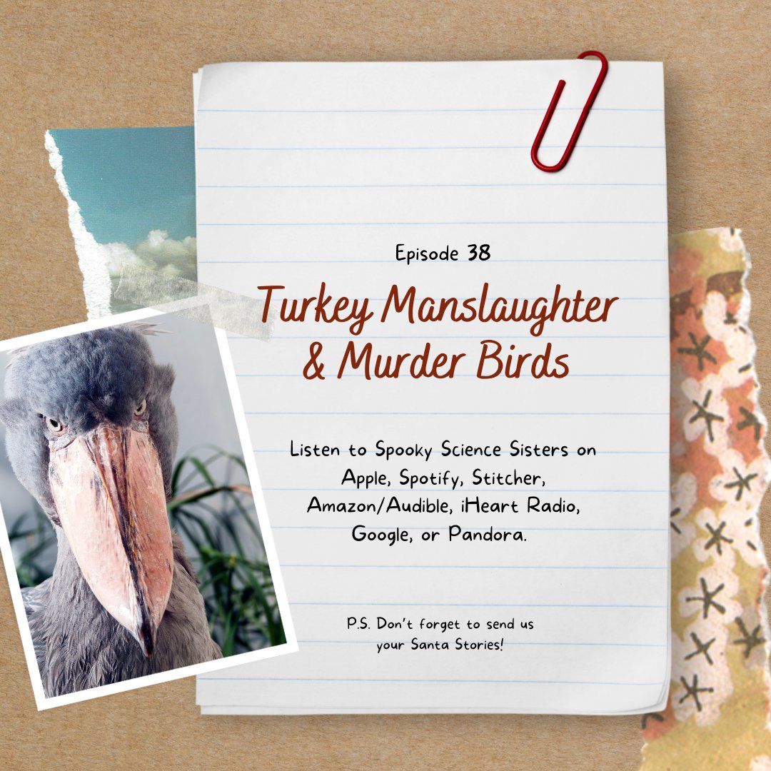 Our new episode is all about spooky birds! We discuss dinosaur-like cassowaries capable of disemboweling an adult human, mistaking owls for Mothman, meat raining from the sky, &amp; more. 

Sources &amp; links to photos: spookysciencesisters.com/2021/12/16/epi…