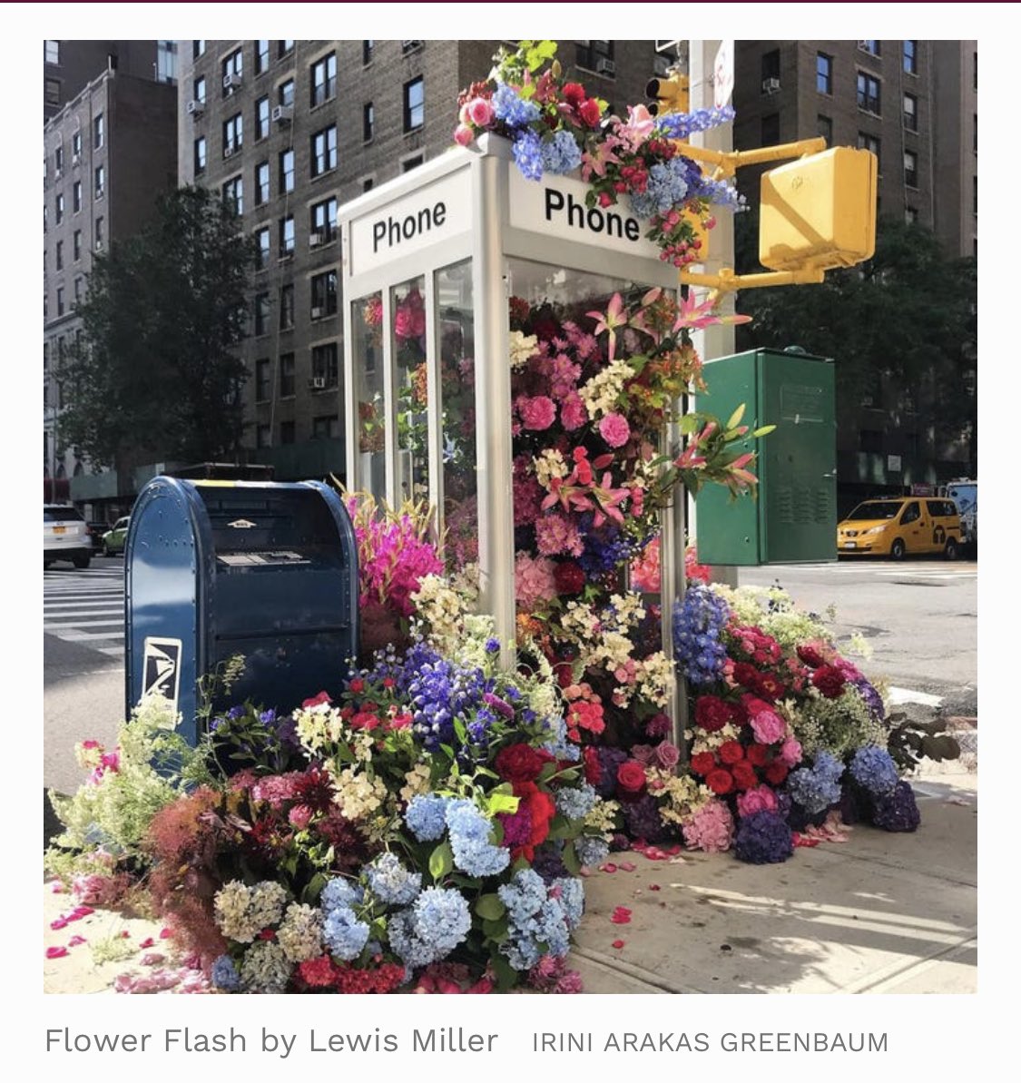 flower flash, Lewis Miller
#StreetArt