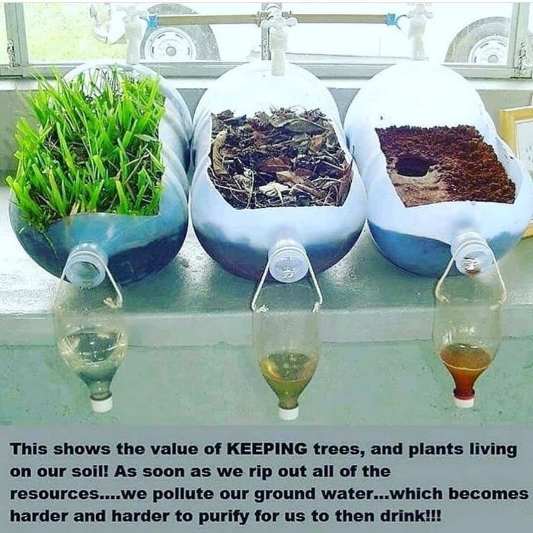 VincentBumba2's tweet photo. Nothing is more perfectly beautiful than nature itself,  treat the environment responsibly and you see real beauty of nature.
@Lovenature#protectnature@climateaction#NEEMAug https://t.co/elvGPJKqC1
