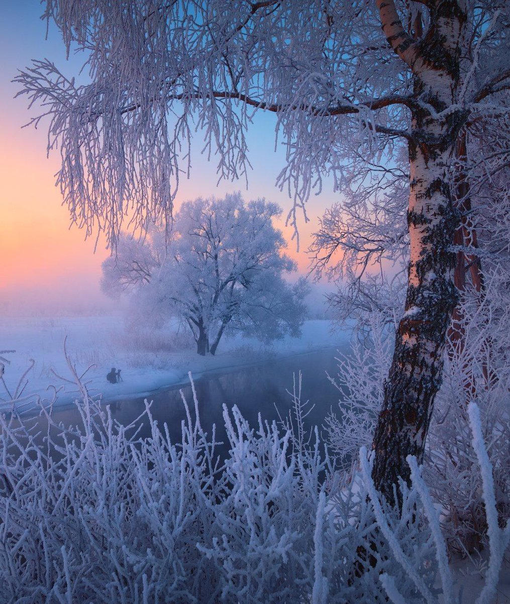 123 (@xetra_a) on Twitter photo 