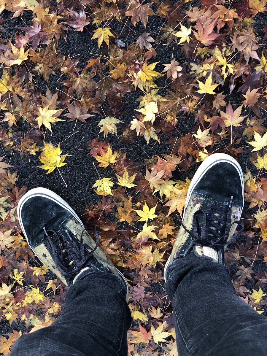 ST6TR5's tweet photo. Today's my KICKS !!!
VANS×DEFCON Syndicate SK8 Low
(Dig3)
Dec. 17th 2021
Somewhere in Japan
定期通院から〜の、リハビリお散歩
朝イチの雨での落葉もまた風情…🍁
#本日のスニーカー
#足元倶楽部
#足下倶楽部
#vans
#defcon
#Dig3
#aor2 https://t.co/1DlOCXlXC4