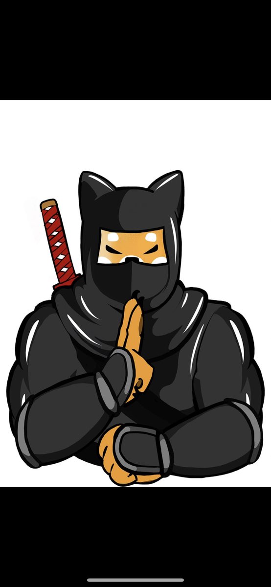 RampageJackson's tweet photo. Shibnobi 24-ish hour buy contest!!! This is crazy 🤪… any buy from 11:52 pm EST tonight until 9 pm EST tomorrow will have a chance to win not just one but 2, $25000 prizes #shibnobistrong #community #gamechanger #shinja https://t.co/PGe1k29ts5