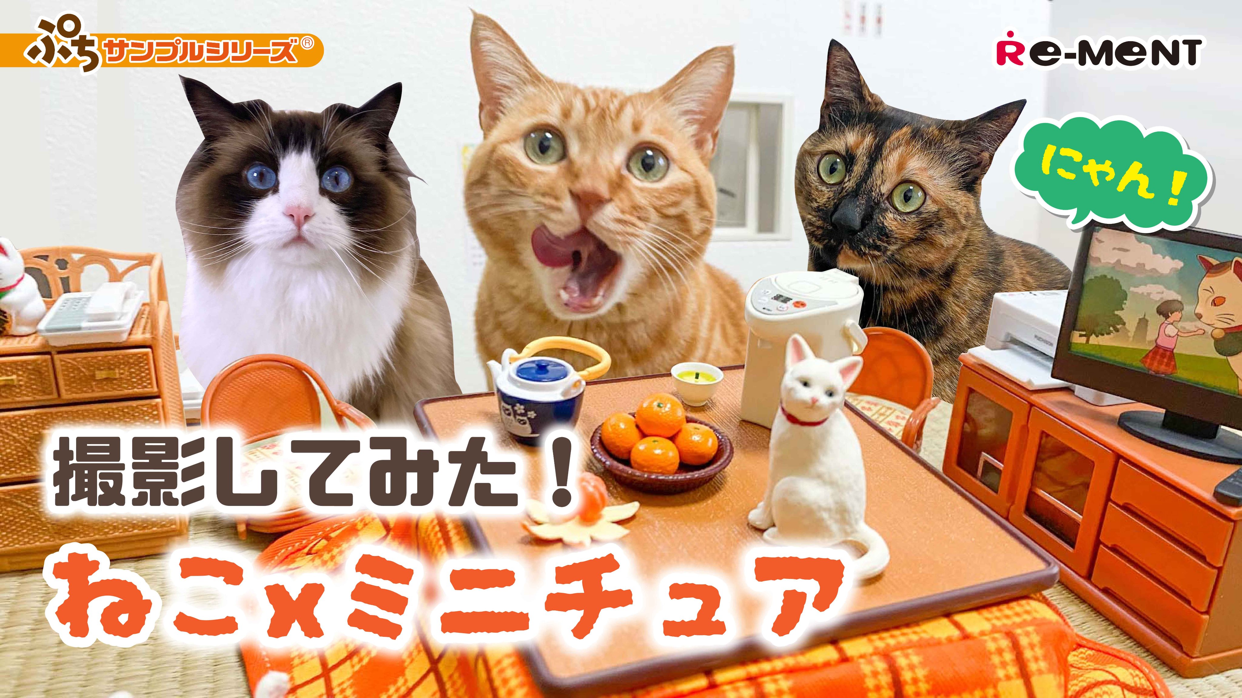 株式会社リーメント公式 リーメント公式youtubeチャンネルより ぷちサンプルシリーズを並べて ねこと一緒にミニチュアの可愛い写真を撮ってみた 果たして 奇跡の1枚 は撮れるのか Youtube T Co Jwhg5uu6dv リーメント