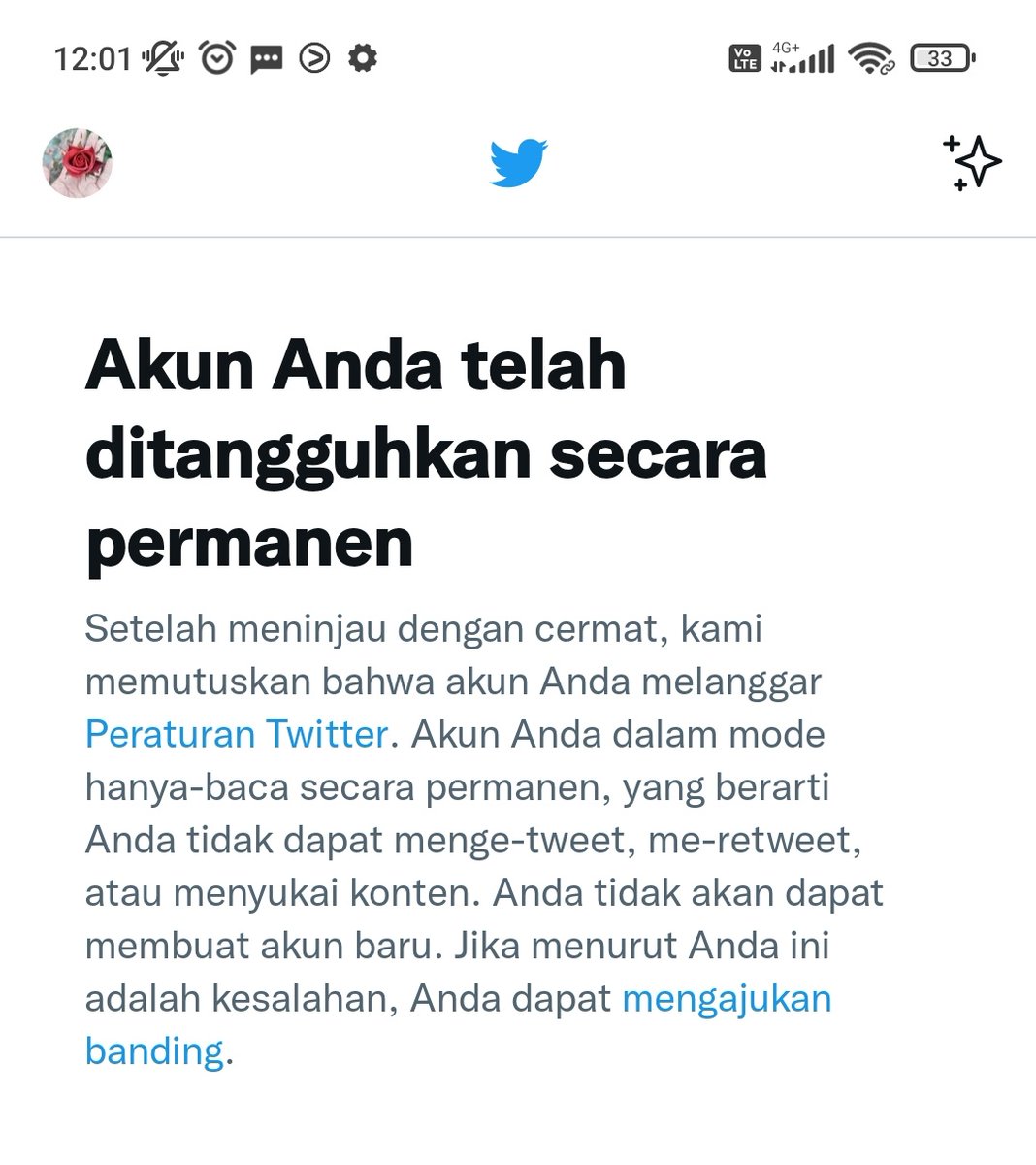Yayaaa 🧜♀️ tweet media