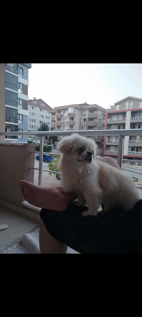 Günaydın yurdum güzel insanları #gorukle #bursa