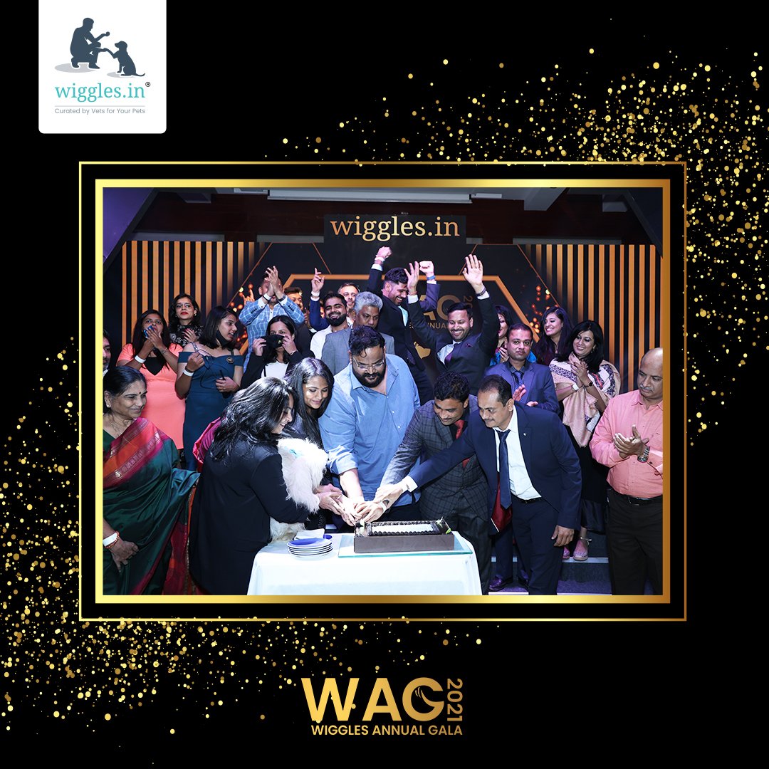 WigglesIndia's tweet photo. #WigglesTurns3 #petcare #partnersinpethood https://t.co/T7mwgQo0fx