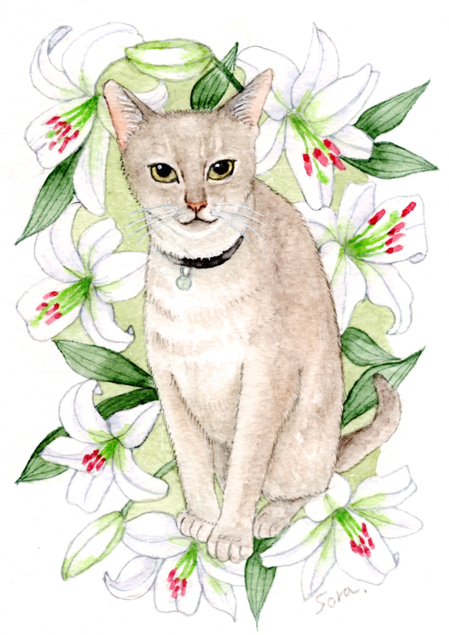 そら 固定ツイ見てね ˊᵕˋ ੭ お友達の猫ちゃんヂルさん描きました 似てなくて申し訳ない 花は カサブランカ 2l判サイズ ストラスモア 水彩 水彩イラスト 水彩画 動物イラスト 猫イラスト アナログ絵 T Co 5is0r6slgt Twitter