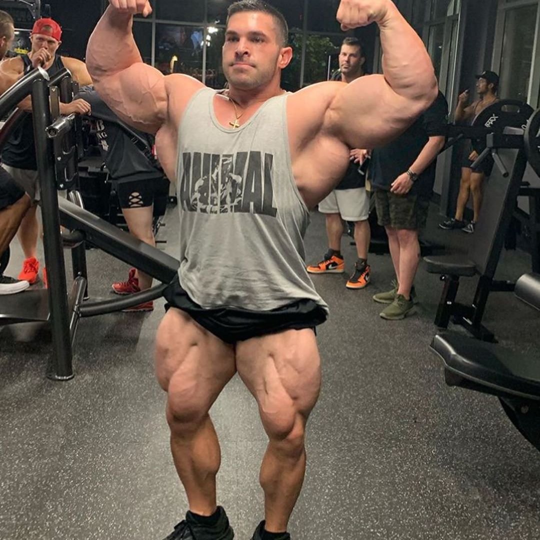 Hola Bodybuilders on Twitter: "Watching : https://t.co/es9zqQrBsT…