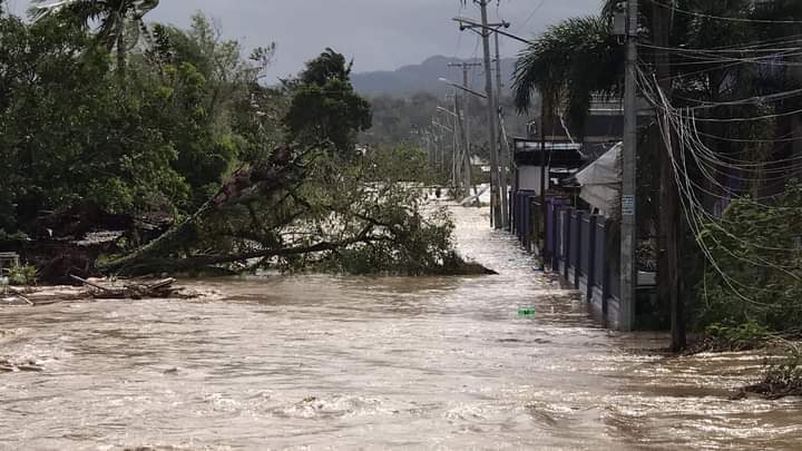 chaewonmoles's tweet photo. Grabe ka Odette huhuhu ang daming tirahan ang nawala sa pag hagupit mo dito sa Negros Occidental 😢.Thanks to God na safe kami and my family 🙏🙏.

#PrayforNegros https://t.co/EqiIRywlVw