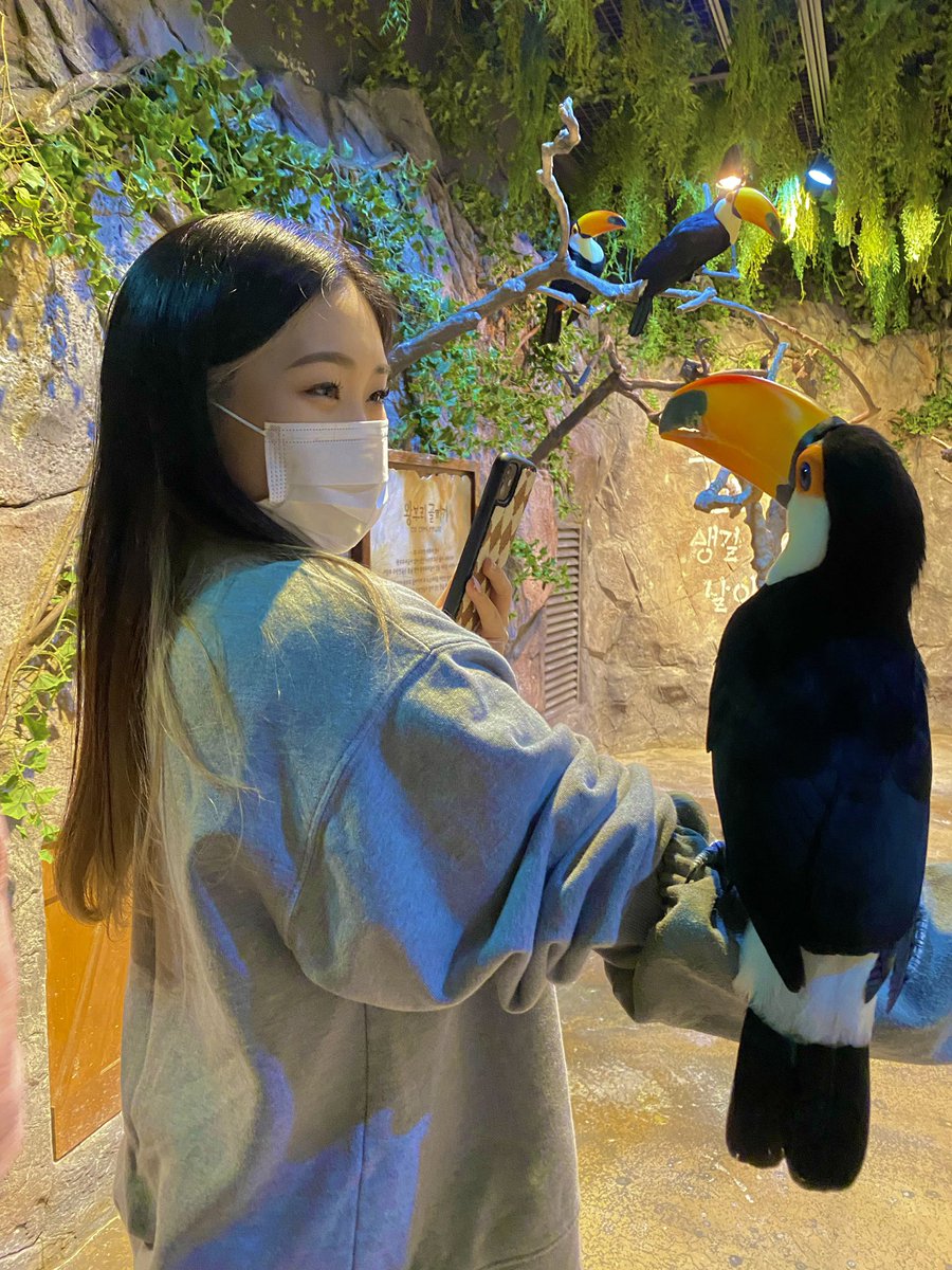 나도 트위터 시작…!!🥸
#플로어 #박현정