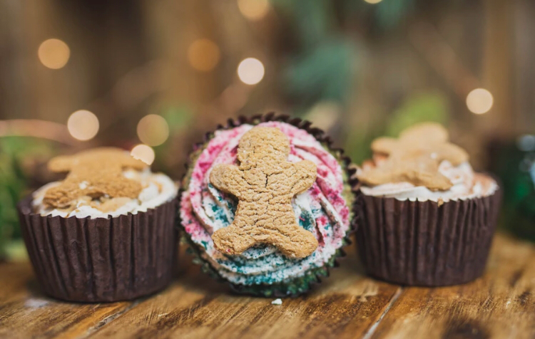 Last chance to pick up one of these gorgeous doggy cupcakes! The ideal Christmas Day treat for your beloved pooch! #EarlyBiz
saranicolefinepetboutique.co.uk/product/life-o…