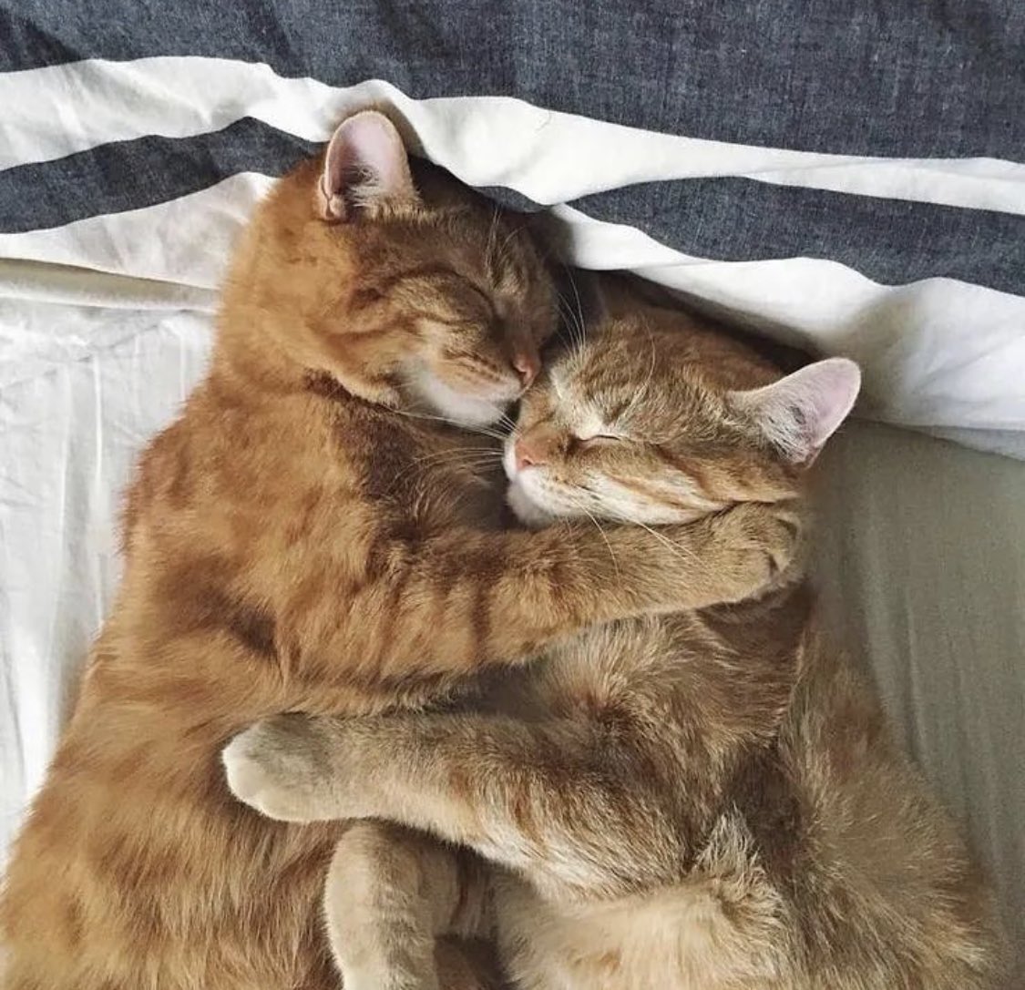 dittameliaa's tweet photo. This could be us https://t.co/4OS05TSe3l