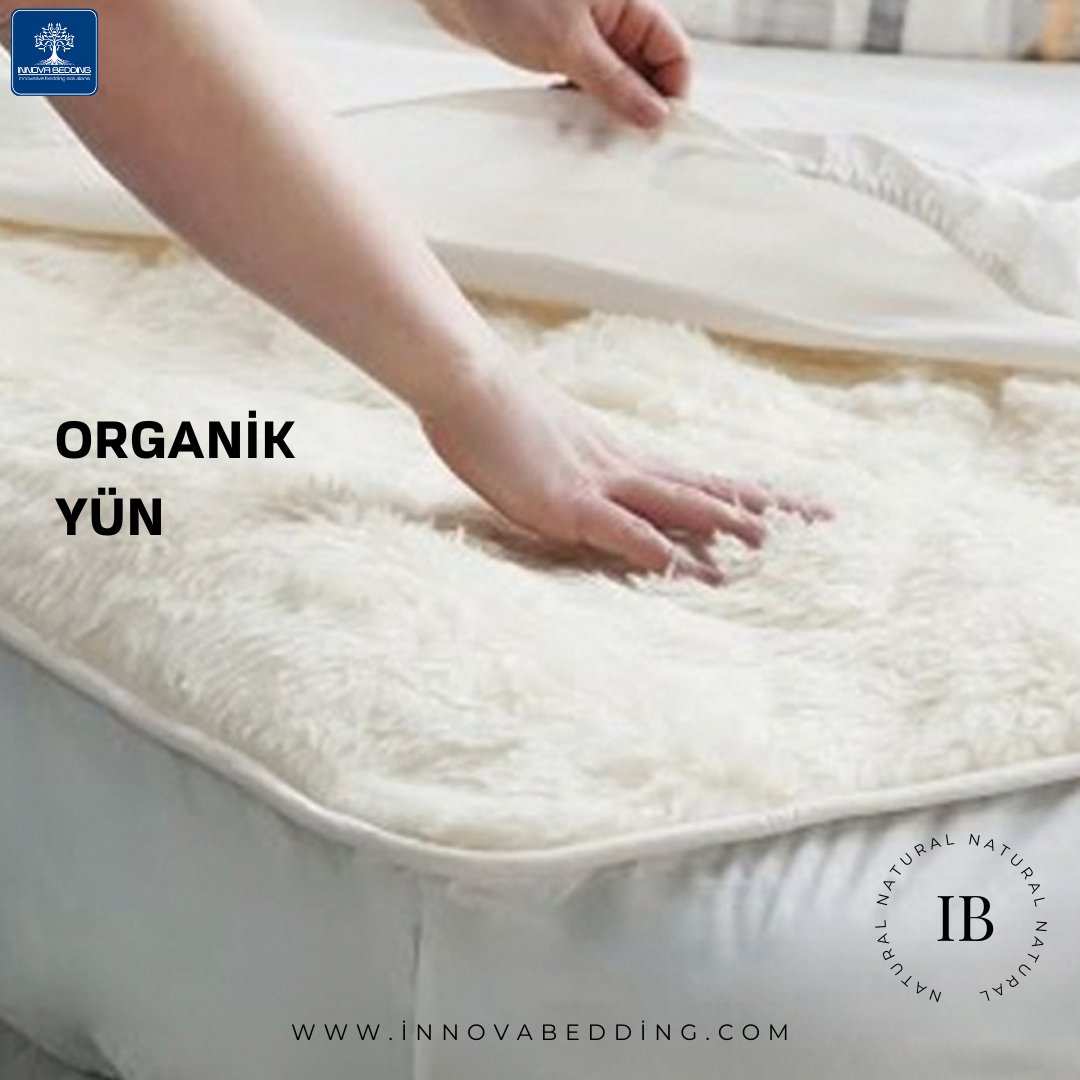🤩Yün Çeşitlerini Keşfedin!

👉🏻Yatak endüstrisi icin yüksek kaliteli doğal malzemeler tedarik ediyoruz.

🤩 Yün %100 doğal, yenilenebilir ve biyolojik olarak parçalanabilir bir üründür.

#devetüyü #deveyünü #kaitiakiyünü #yün #wool #mattresscover #mattress #bed #organicbed