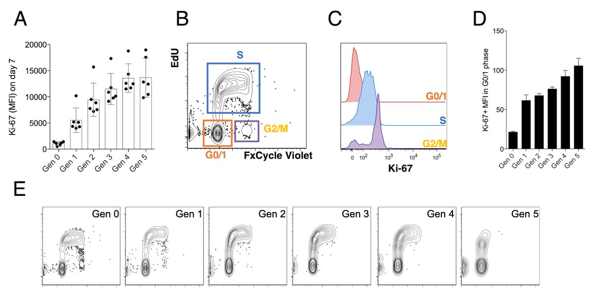 Ebba Sohlberg tweet media