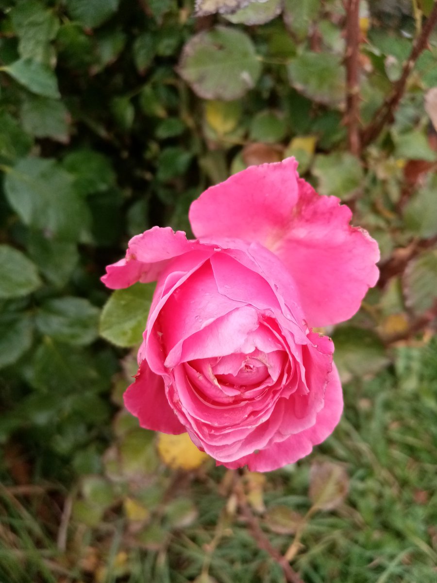 Günaydın.
HAYIRLI CUMA'LAR.