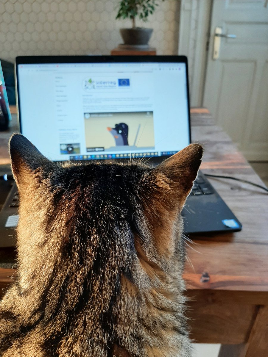 Balou, our web content designer, is very excited about our #policyweek - did you already check out our videos?
youtube.com/channel/UCzEFs…