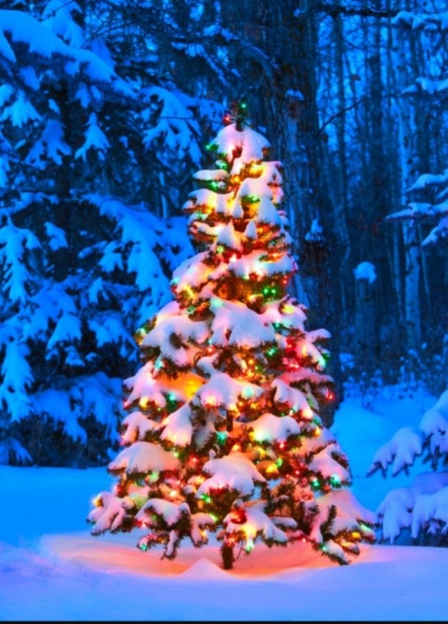 alphacomics's tweet image. The countdown is on and Christmas will be here soon. With that in mind starting today and running until the 24th, all back issues are 50% off, wall books are 30% off, and all toys are 25% off. Exclusions apply to independent comics, consignments, new titles and comic supplies.