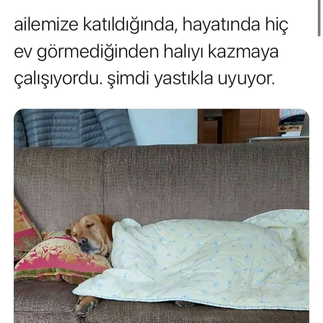 masum_gozler's tweet photo. ❤️❤️❤️ #masumgözler https://t.co/xA4Tk6cYLm