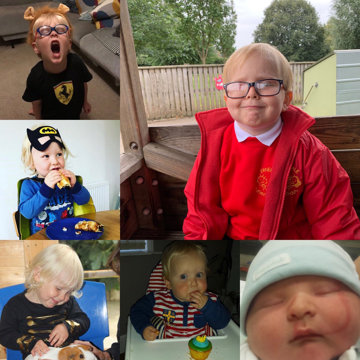 Holly Roberts tweet media