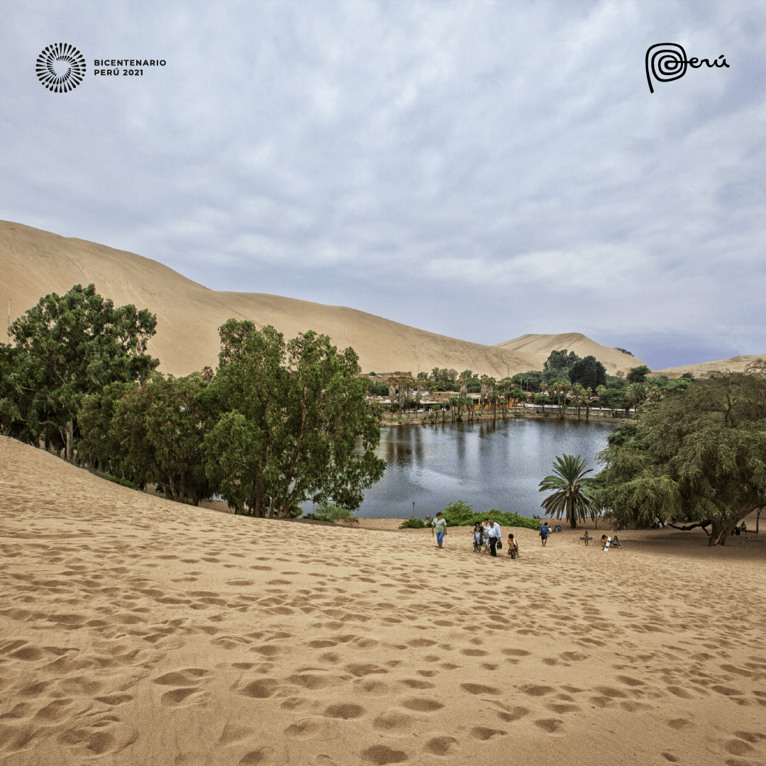 peruinindia's tweet photo. Did you know that for the first time in history #Dakar2019 was held in a single country - Peru. Ica was one of the destinations. Also known as the City of Eternal Sunshine, its pristine sand dunes, the Huacachina oasis and famous vineyards await the not-so-faint hearted! https://t.co/A0yPMQ5Z5m