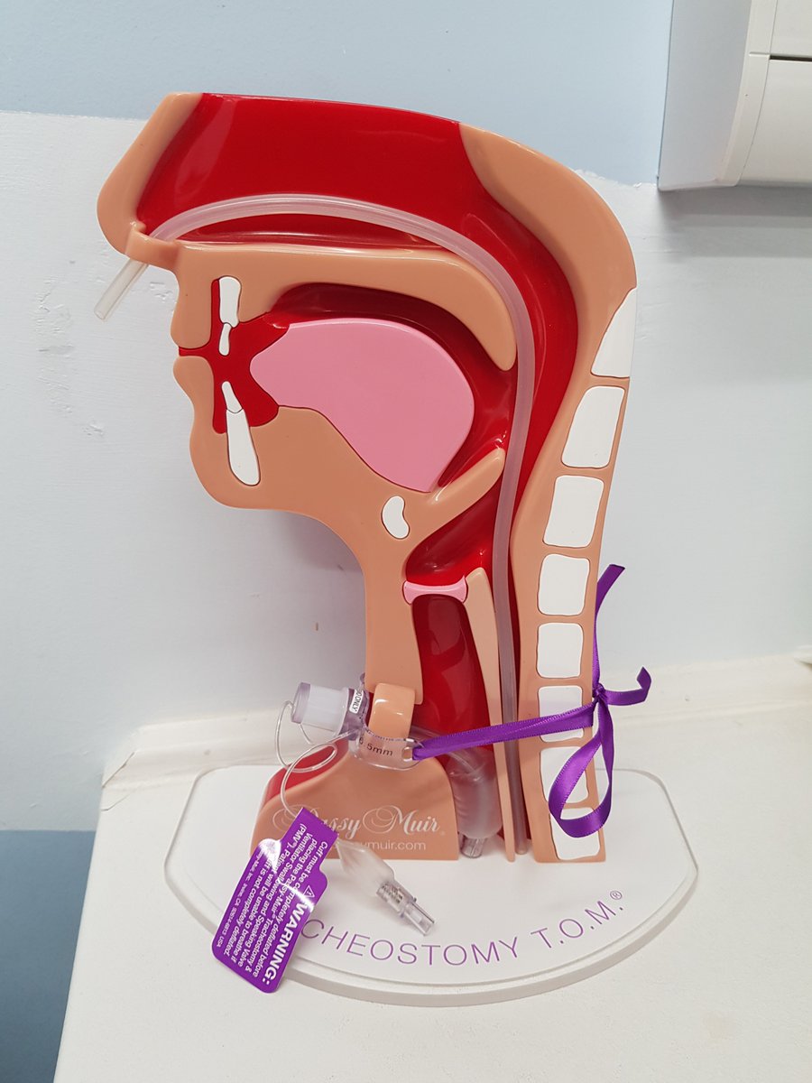 HRobertsSLT's tweet photo. Happy Christmas to us (the Critical Care &amp; Trache SLT team)! Looking forward to using our new friend to assist with providing training to our nursing and MDT colleagues. @Kapitex @PassyMuir #mySLTday @EmilySLT @_stephanieberry @RWT_CCOT https://t.co/EA9G34cYta