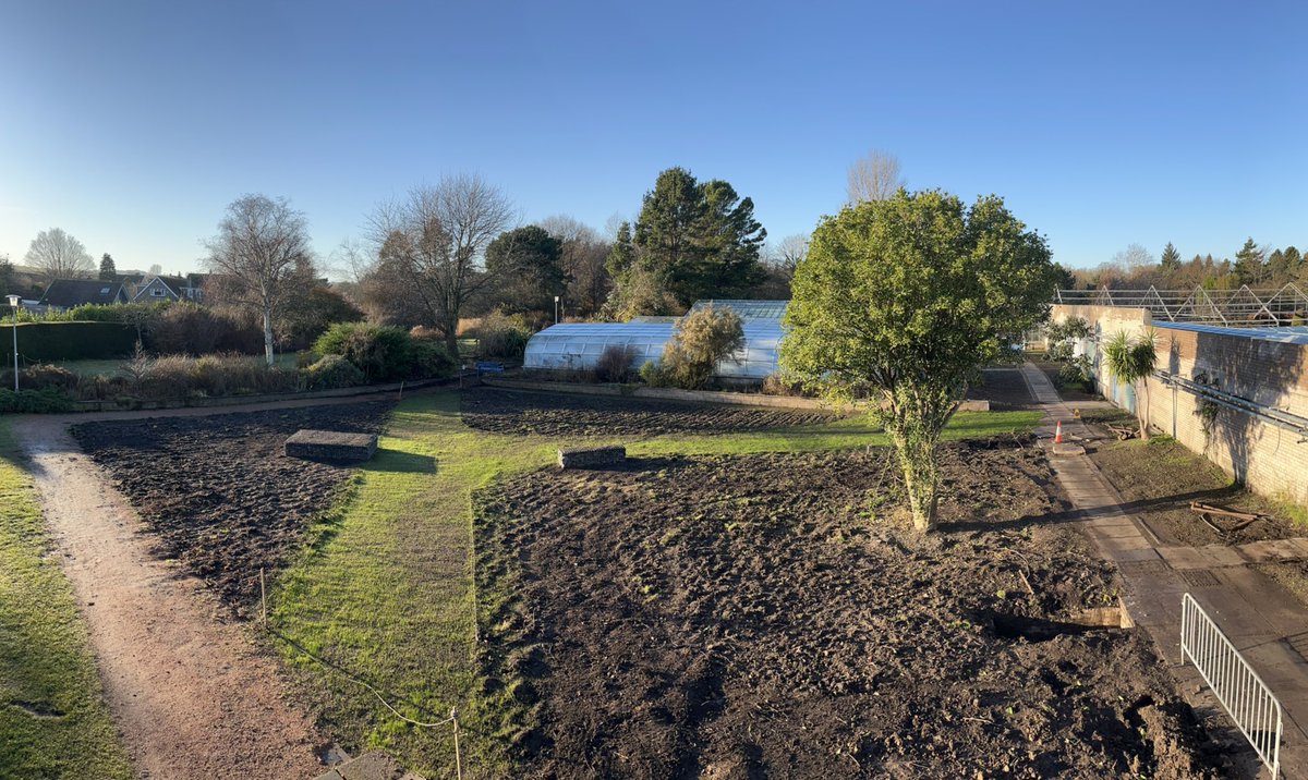 StABotanics's tweet photo. The Meanwhile Garden is coming together- by Spring this will have timber seating, the grass will have filled out, the brown patches will be clovers and the shale paths will be wildflowers. Incredible change since July and much more to come. Space to escape #TangledBank https://t.co/TTjLdDdegB