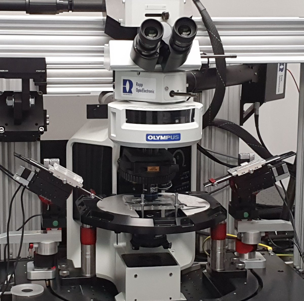 Abberior's tweet photo. Would you like to see #neurons in super resolution while measuring their electrical activity? We recently delivered a special INFINITY Line combining #abberior #STED &amp; advanced #electrophysiology from @LuigsNeumann.  We are looking forward to cutting edge research by @Kittellab! https://t.co/4M7lBxTa5w