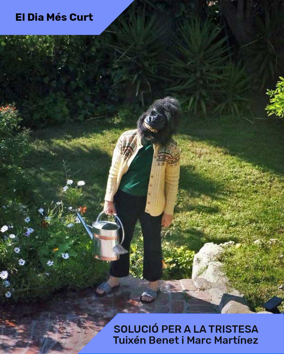 Segon #XatCurt: 
🎞️RUMBO A PEOR, d'Àlex Brendemühl
vs
🎞️SOLUCIÓ PER A LA TRISTESA, de <a href="/tuixen/">Tuixén Benet</a> Benet i Marc Martínez Jordán

🗓️18.12 - 18h 📍 @cececebe 
🎟 Entrada Gratuïta
➕eldiamescurt.cat/proyecto/xat-c…
 #eldiaméscurt <a href="/MarvinWayne/">Marvin&Wayne</a> <a href="/CATALUNYAFILMF/">Catalunya Film Festivals</a>