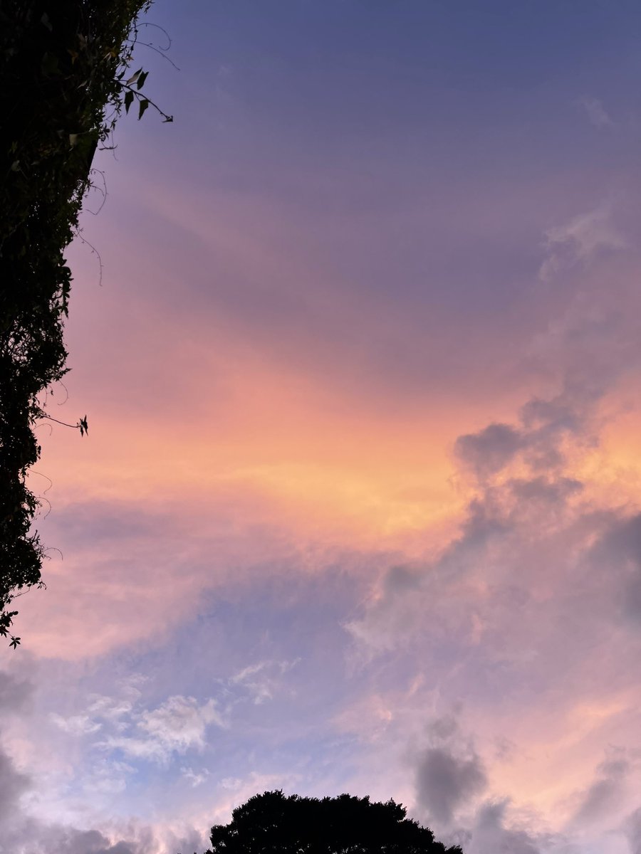 Comic506 tweet media