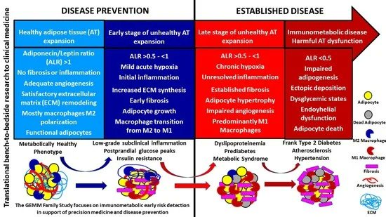 Replication of Integrative Data Analysis for Adipose Tissue Dysfunction, Low-Grade Inflammation, Postprandial Responses and OMICs Signatures in Symptom-Free Adults mdpi.com/1408830 via <a href="/Biology_MDPI/">Biology MDPI</a> <a href="/uanl/">UANL</a> <a href="/anahuac/">Anáhuac Campus Norte</a> <a href="/UMaristaMerida/">Universidad Marista de Mérida</a> <a href="/SistemaUNIVA/">UNIVA</a> <a href="/UACHMx/">UACH</a> <a href="/ComunidadUNLA/">UNLA</a>