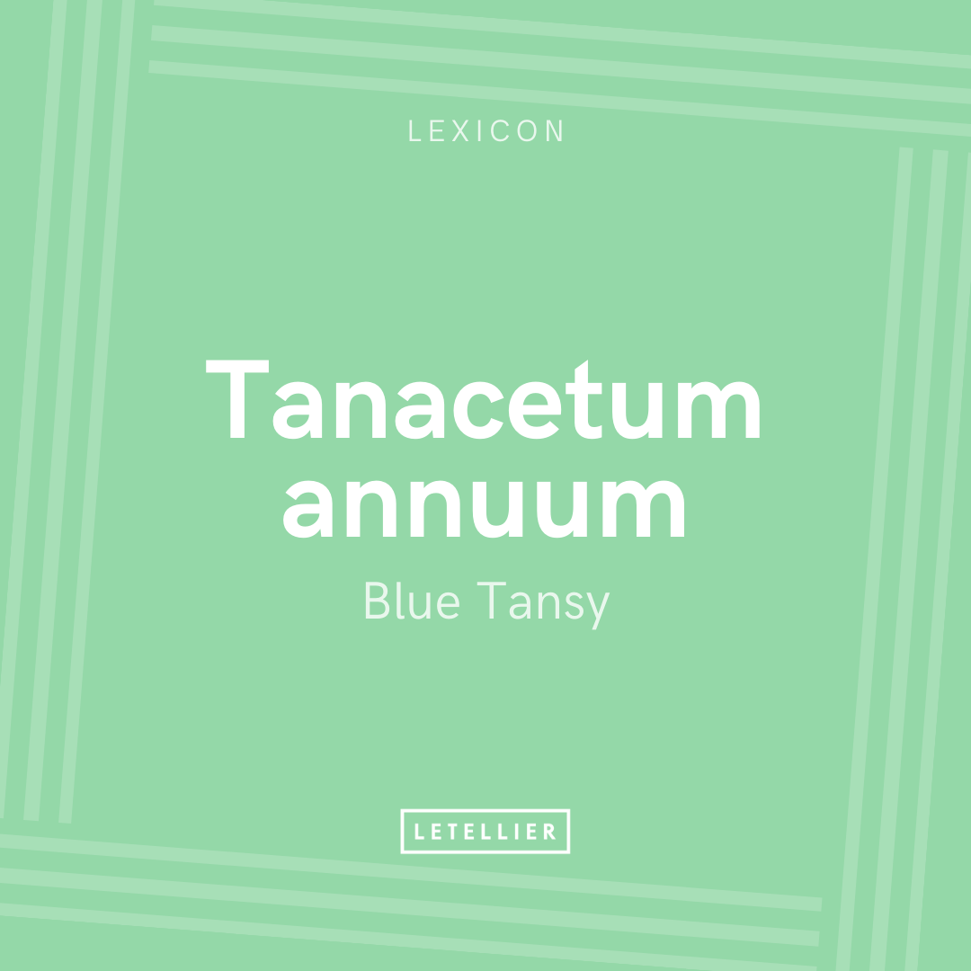 LeTellierSkin's tweet image. 5 benefits of Blue Tansy 🔎

💙  Calming
💙  Anti-inflammatory
💙  Healing
💙  Antioxidant
💙  Anti-fungal

Which of our products contains this soothing oil❓ 
 
Answer below.
.
.
.
.
.
.
THE MOON SHINE
#organicfaceoil #sensitiveskinsolutions