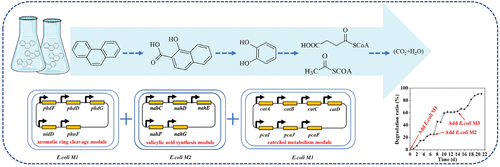 Olivier Borkowski tweet media
