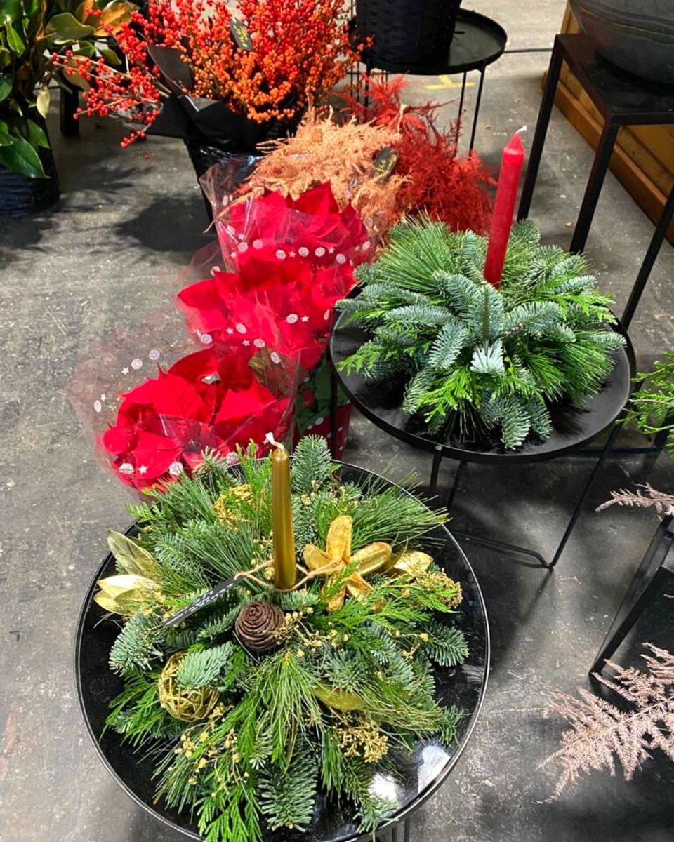 Te ofrecemos una opción diferente para #Navidad 😍 ¡Regala flores y plantas navideñas! Aportarán un plus navideño 🎄 en la decoración de las personas que más quieres o aprecias.

#plantasyfloresnavideñas #regalarnavidad #fiestasnavideñas2021 #Navidad2021 #margaritasellamamiamor